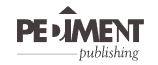 Pediment Publishing